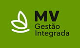 MV Gestão Integrada